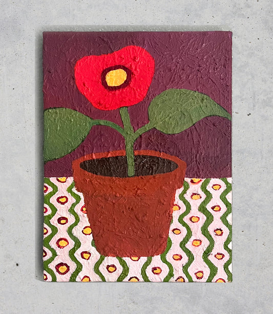 Camellia Japonica