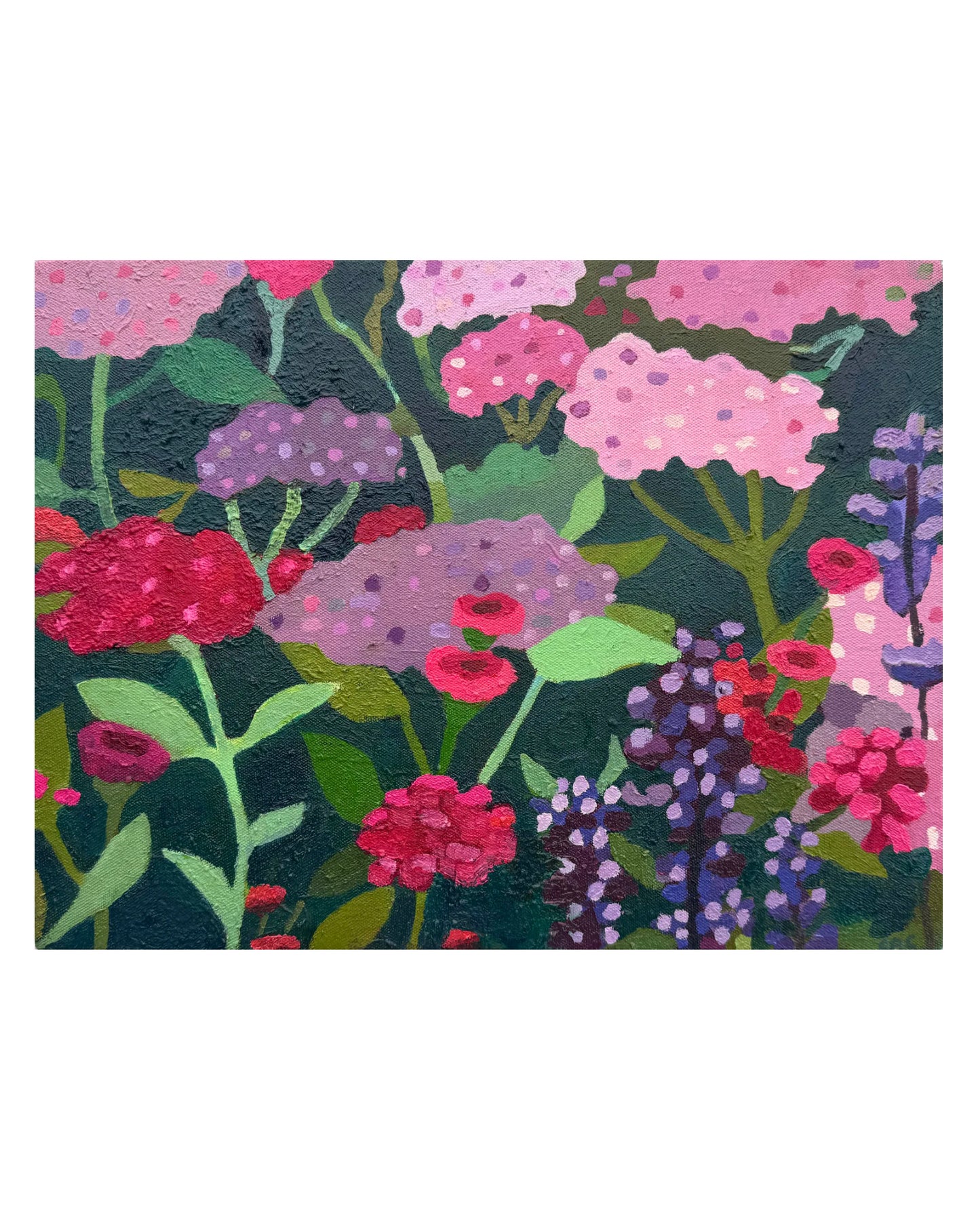 Pink Blooms