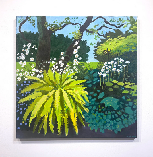 Fern